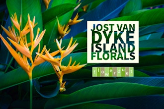 Jost Van Dyke Tropicals